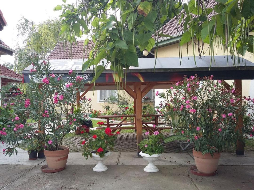 Harang Panzió Panzió Gyomaendrőd Kültér fotó